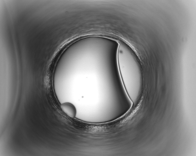 X0000096671501200802050959
