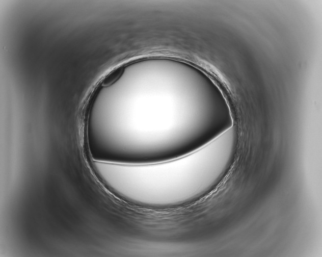 X0000096671504200802050959