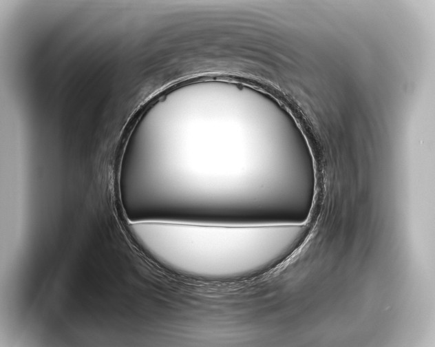 X0000096671505200802050959