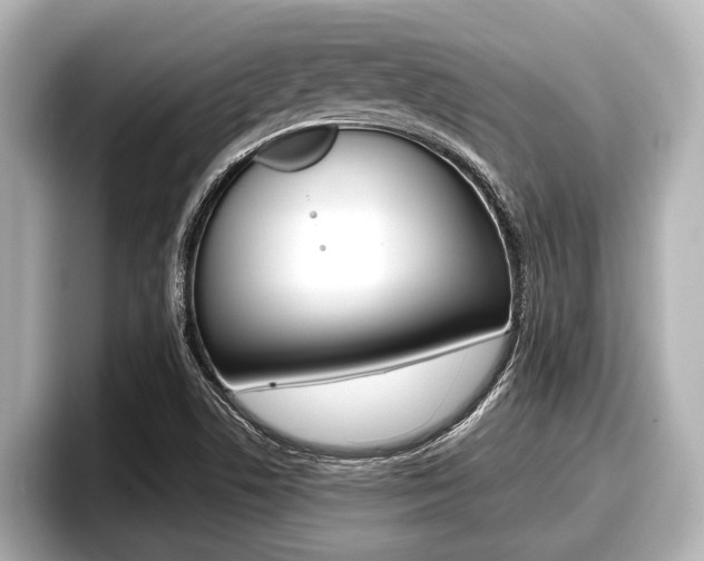 X0000096671506200802050959