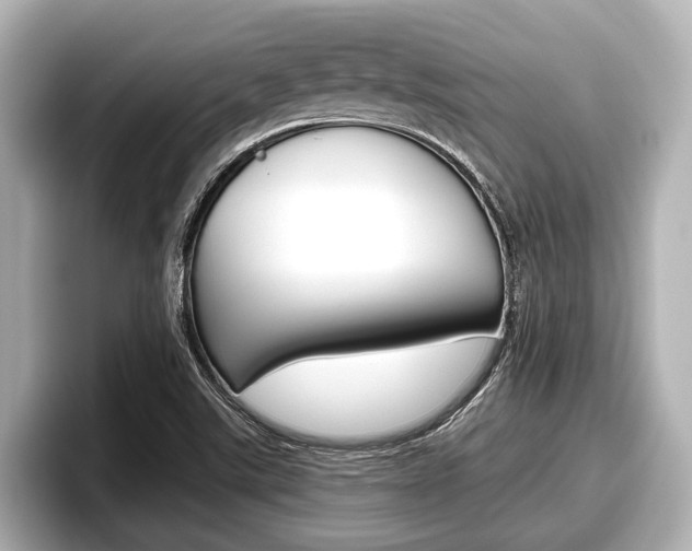 X0000096671507200802050959