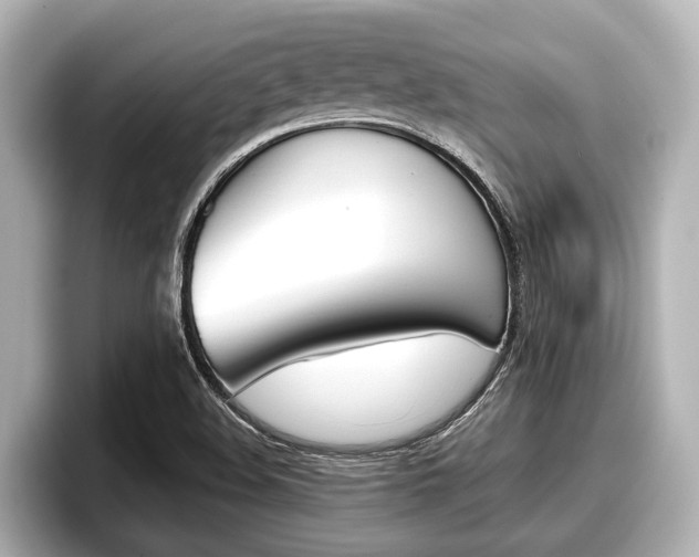 X0000096671508200802050959