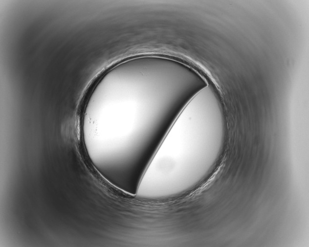 X0000096671509200802050959