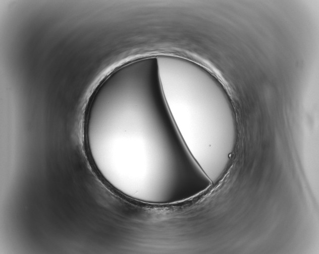 X0000096671512200802050959