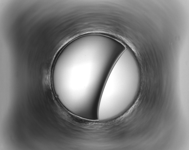 X0000096671513200802050959