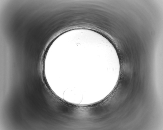 X0000096671514200802050959