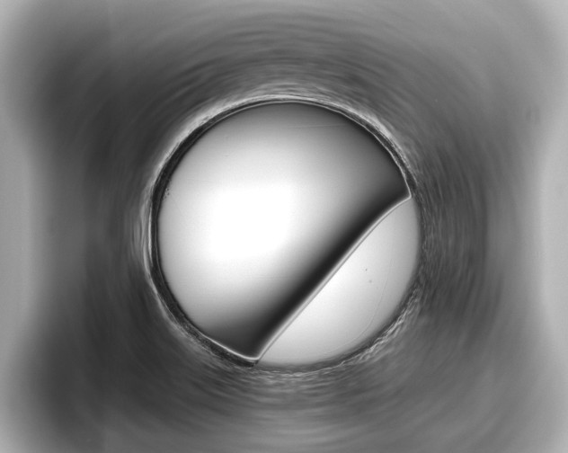 X0000096671515200802050959