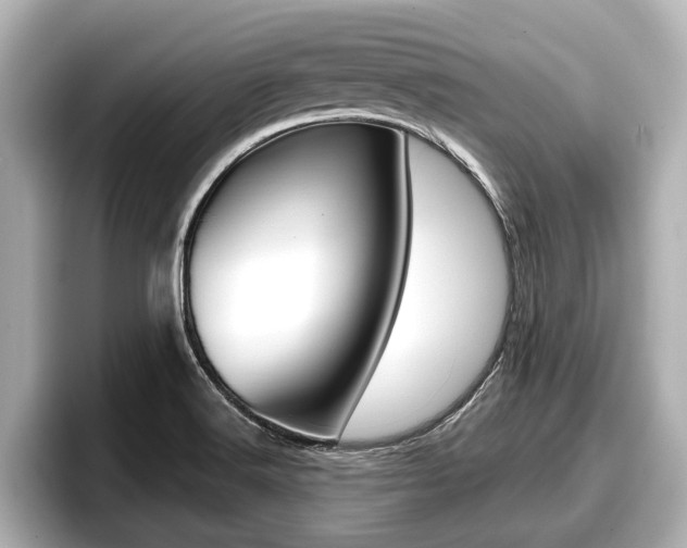 X0000096671516200802050959