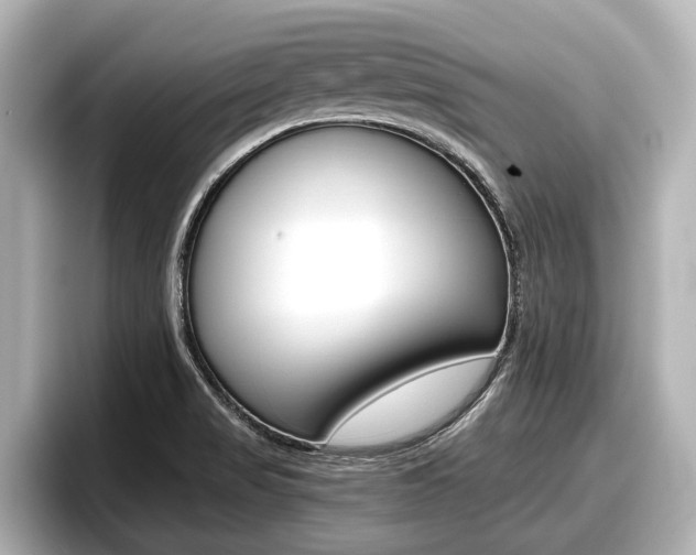 X0000096671517200802050959