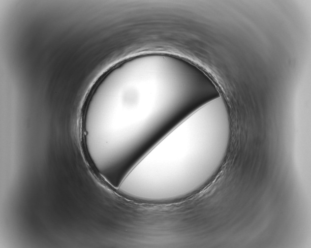 X0000096671519200802050959