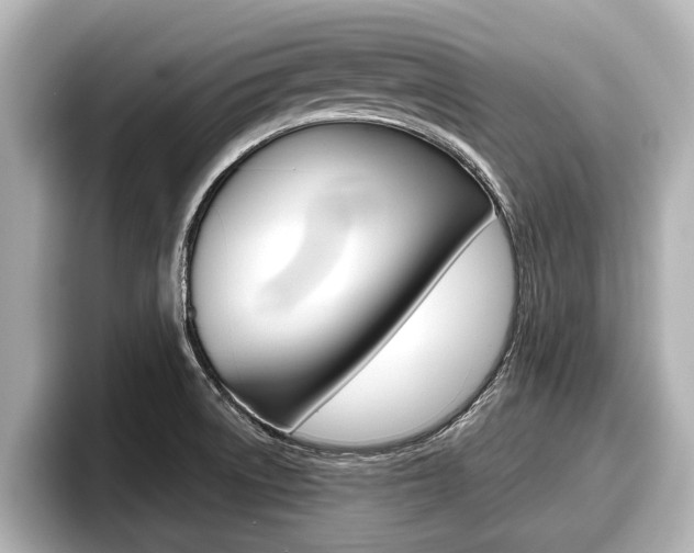 X0000096671522200802050959