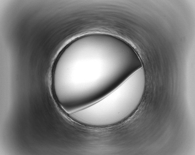 X0000096671523200802050959