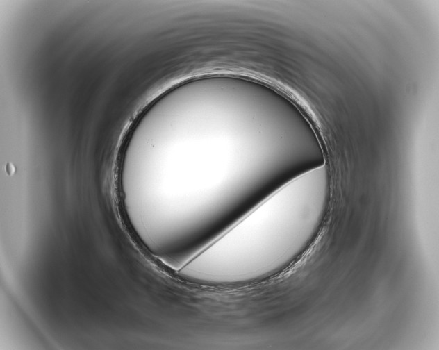 X0000096671525200802051000