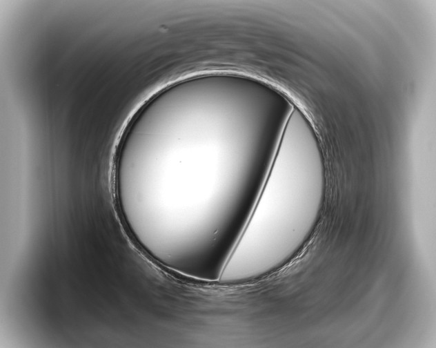 X0000096671527200802051000