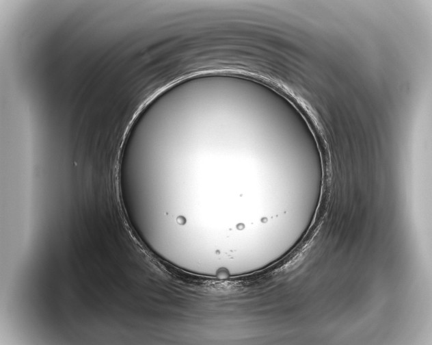 X0000096671529200802051000
