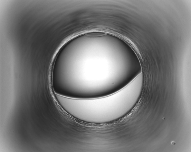 X0000096671530200802051000