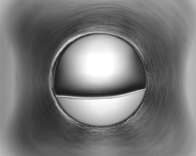 X0000096671531200802051000