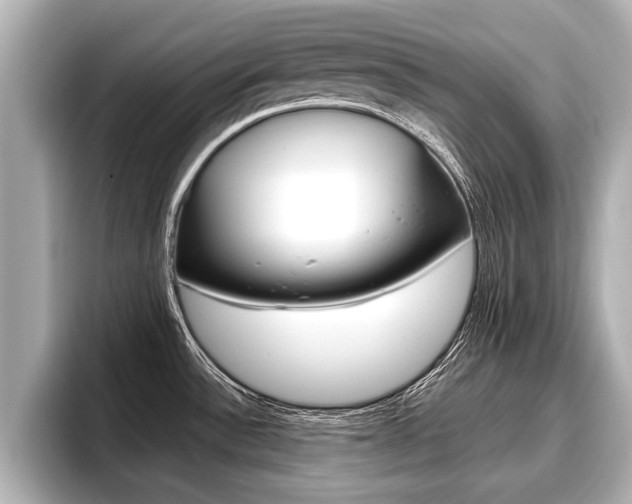 X0000096671532200802051000