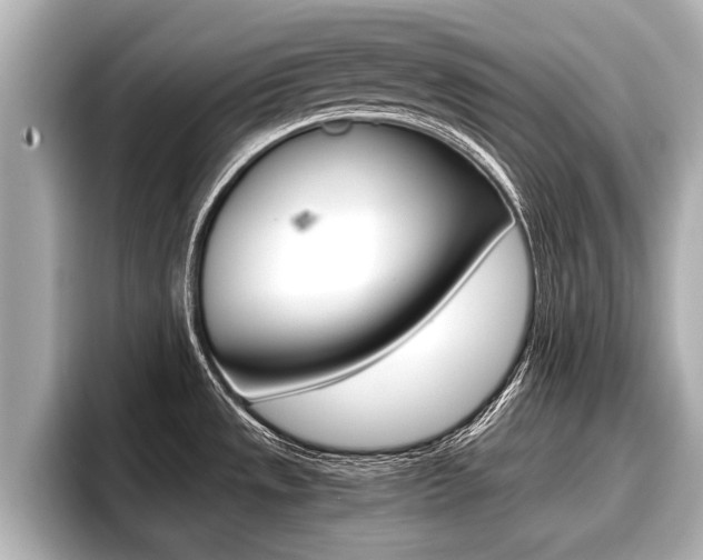 X0000096671533200802051000