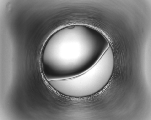 X0000096671534200802051000