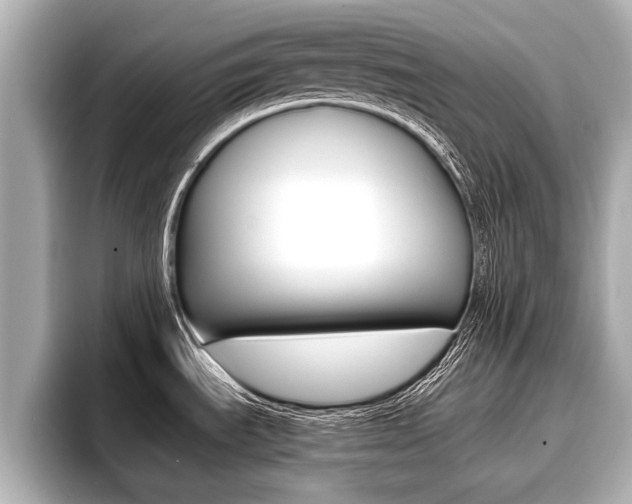 X0000096671535200802051000