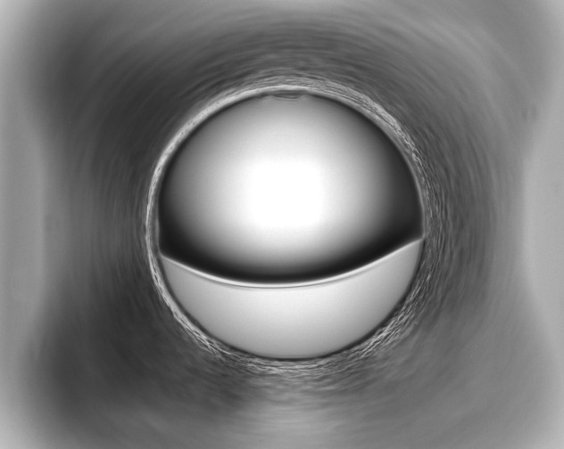 X0000096671536200802051000