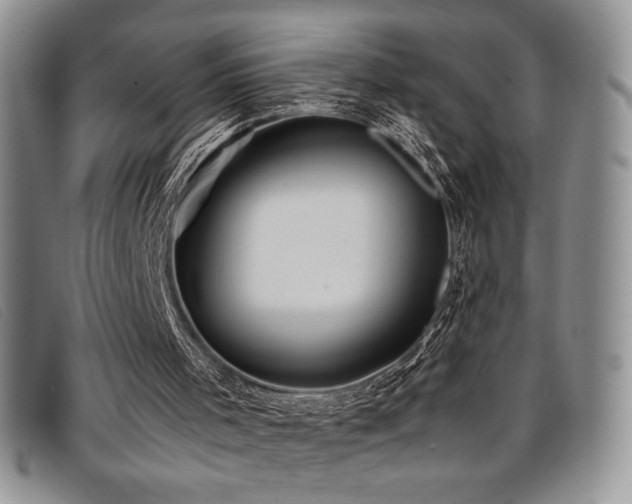 X0000096670001200802051233