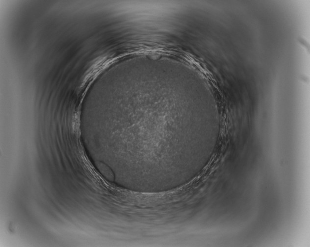 X0000096670002200802051233