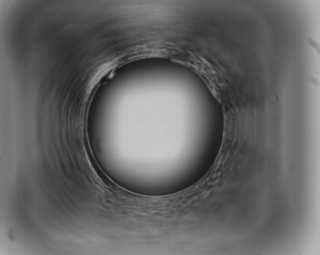 X0000096670003200802051233