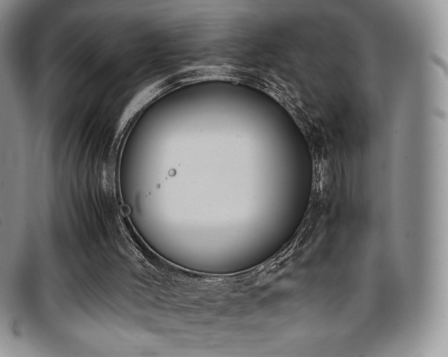 X0000096670004200802051233