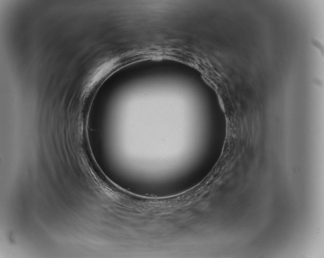 X0000096670005200802051233