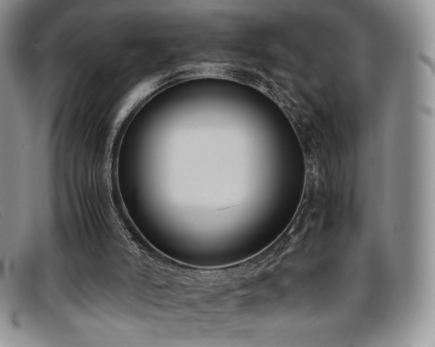 X0000096670006200802051233