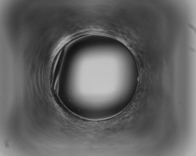 X0000096670007200802051233