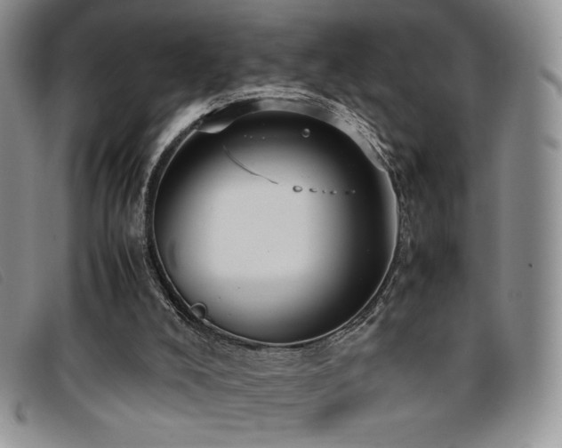 X0000096670008200802051233