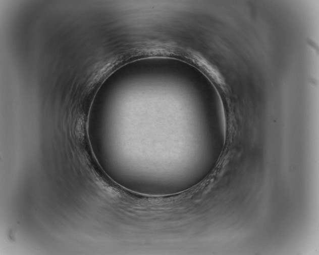 X0000096670009200802051233