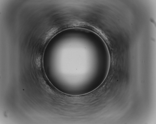 X0000096670010200802051233