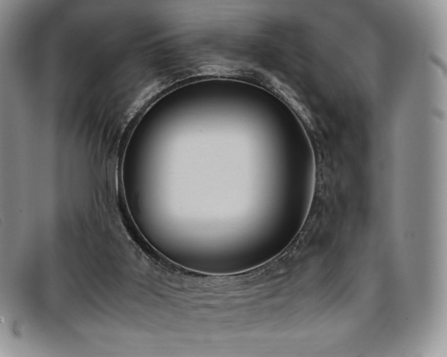 X0000096670011200802051233