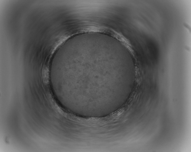 X0000096670012200802051233