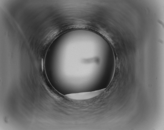 X0000096670013200802051233