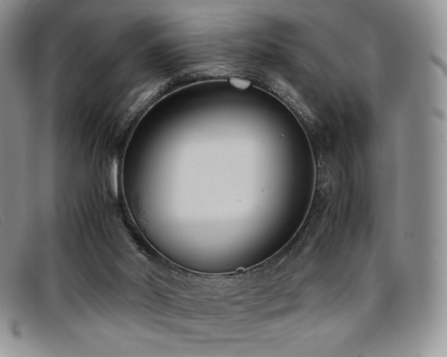 X0000096670014200802051233