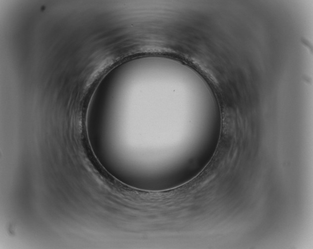 X0000096670015200802051233