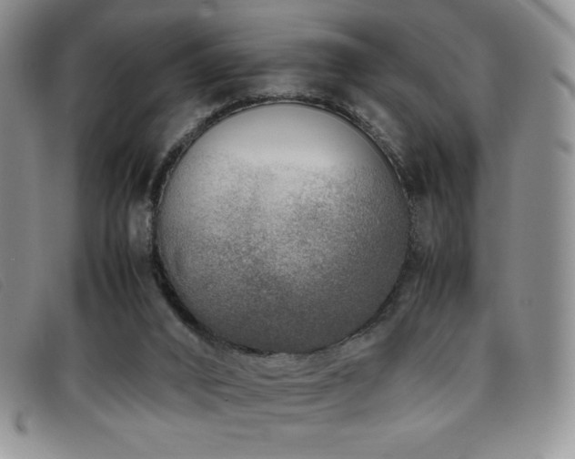 X0000096670016200802051233