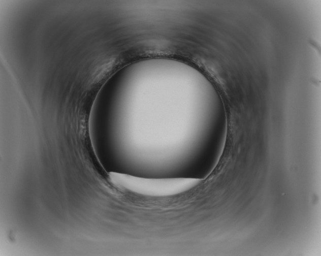 X0000096670017200802051233