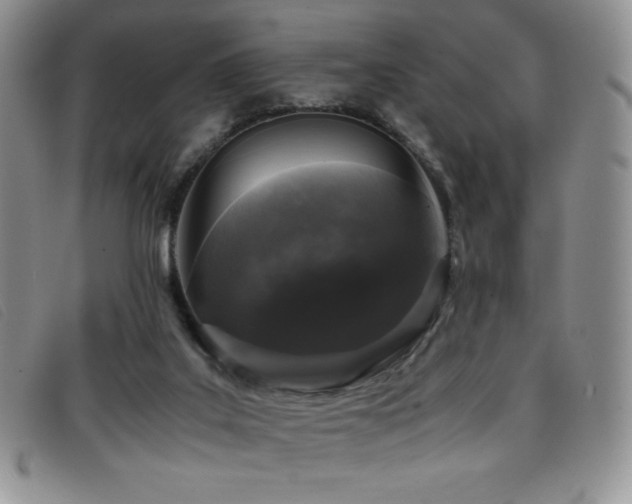 X0000096670019200802051233