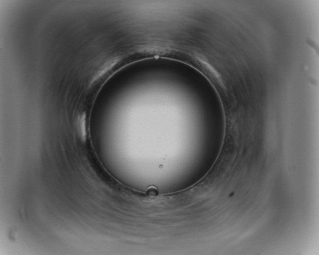 X0000096670020200802051233