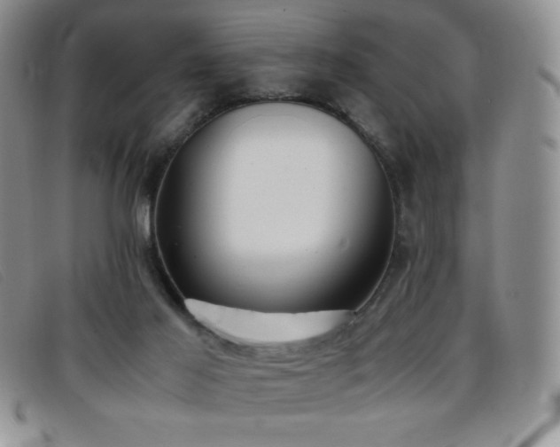 X0000096670021200802051233