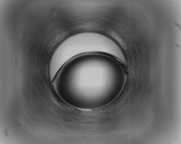 X0000096670022200802051233