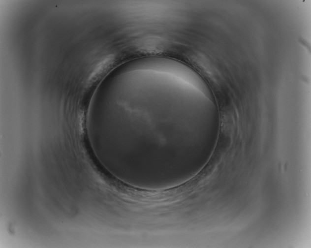 X0000096670023200802051233