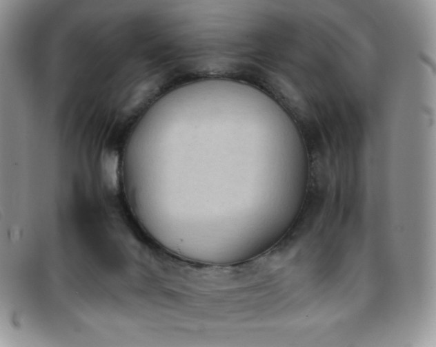 X0000096670024200802051233