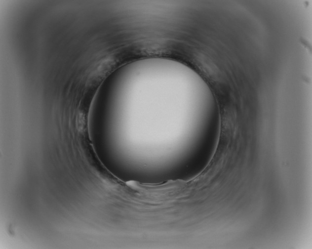 X0000096670025200802051233